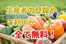 キャンペーン
